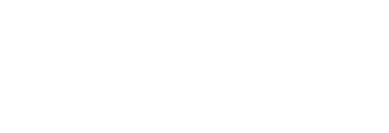 Marelli Group